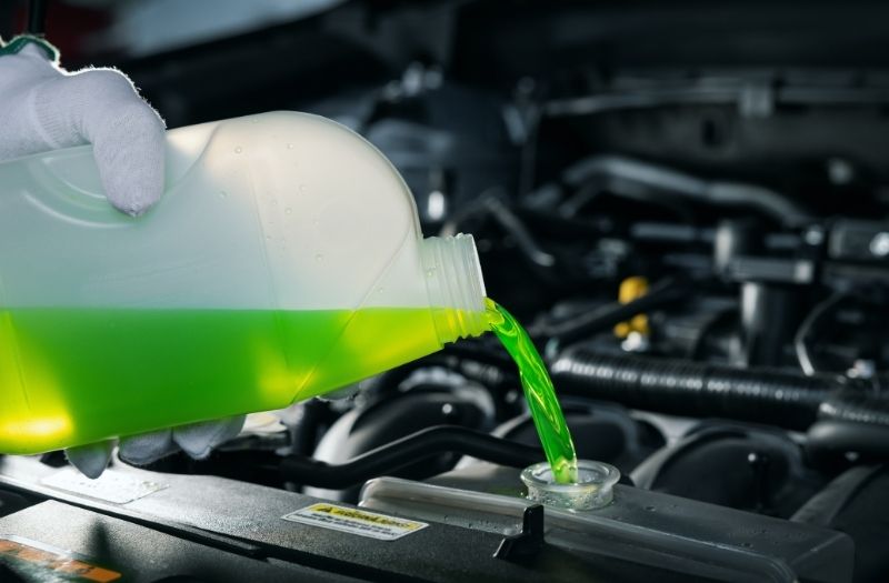 Pouring new coolant into a car engine radiator before taking a long drive.